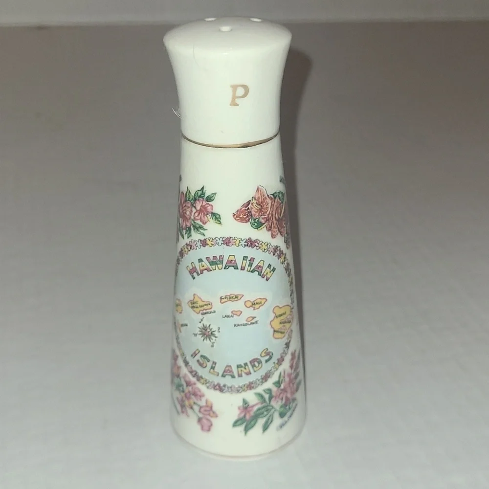 Salt & Pepper Shaker Hawaiian Souvenir purchased 1966 Ceramic Vintage
